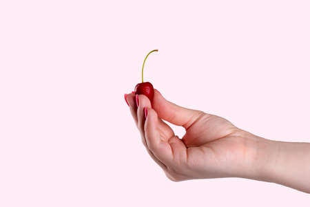 Beautiful female hand holds a cherry berry on a pink background. A drop of water on a cherry.