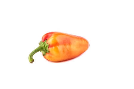 Fresh raw peppers isolated on white background.の写真素材