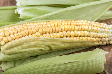 One ear of corn, slightly peeled. Rustic style. Close up.の写真素材