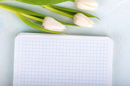 Checkered notepad sheet and tulips next to the notepad.の写真素材