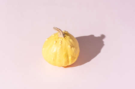 A yellow decorative pumpkin with a hard shadow. Close up. Copy space.の写真素材