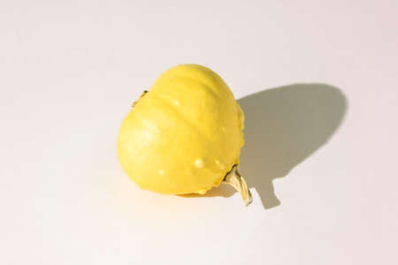 A small yellow decorative pumpkin lies on its side. Copy space.の写真素材