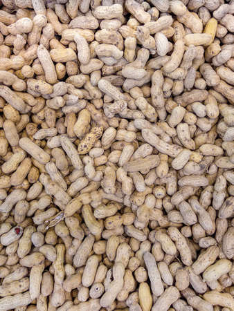 Full frame of in shell peanuts. Vertical layout.の写真素材