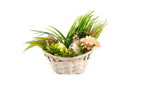 Composition with Easter eggs in the grass with flowers over a white background. Copy space.の写真素材