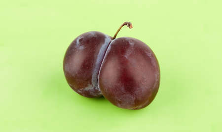 Ripe garden plum over a green background. Close up. Copy space.