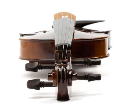 Violin curl and pegs close-up. Violin on a white background.の写真素材