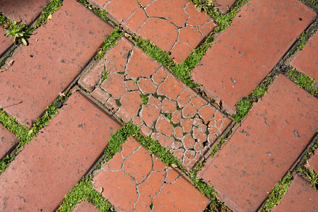 cracked red pavement tile overgrown with grass, close-up, horizontal photo,の写真素材