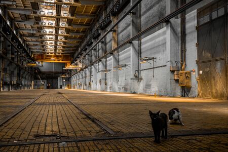 Large industrial hall of a vehicle repair stationのeditorial素材