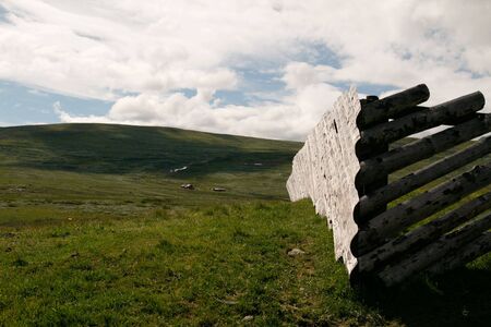 Summer at Hardangerviddaの写真素材