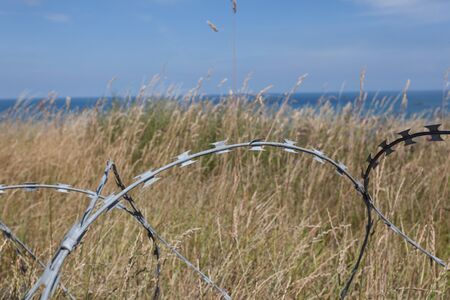 barbed wire