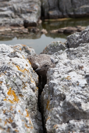 Photos around from Norwayの写真素材