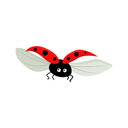 Vector illustration of a ladybugのイラスト素材