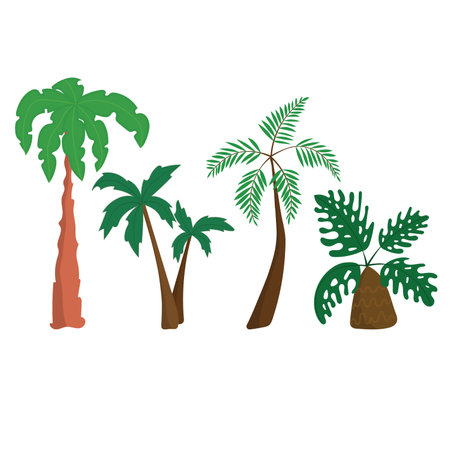 vector illustration palm tree tropicalのイラスト素材