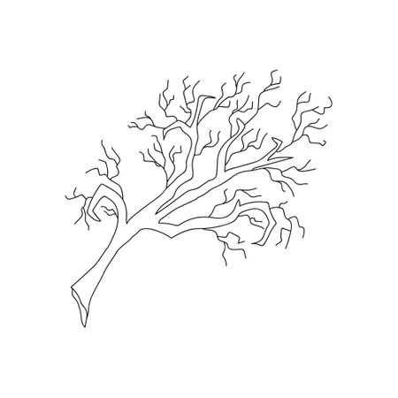 Vector illustration of dry old tree in doodle styleのイラスト素材