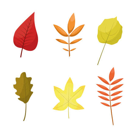 Vector illustration set of autumn leavesのイラスト素材