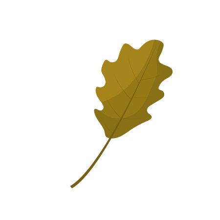 vector illustration of autumn leavesのイラスト素材