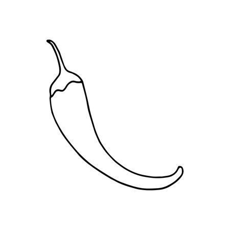 Vector illustration of hot chili pepper in doodle styleのイラスト素材