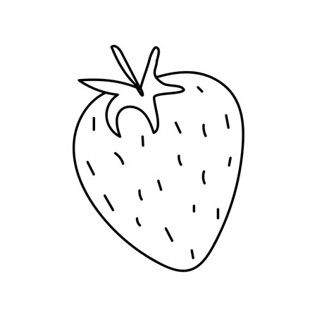 Hand drawn strawberry vector illustration. isolated on white backgroundのイラスト素材