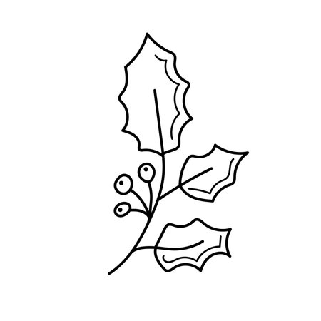 Christmas hand drawn amela branch and berries. isolated on white backgroundのイラスト素材