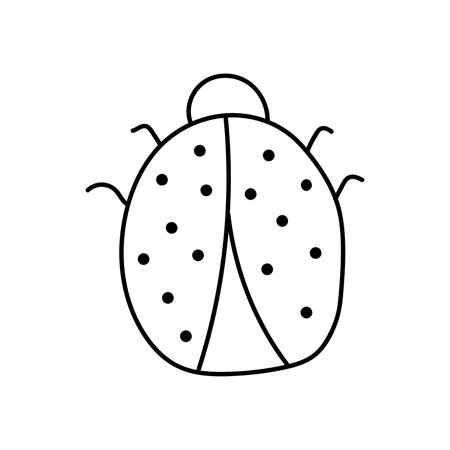 Ladybug in doodle style. isolated on white backgroundのイラスト素材