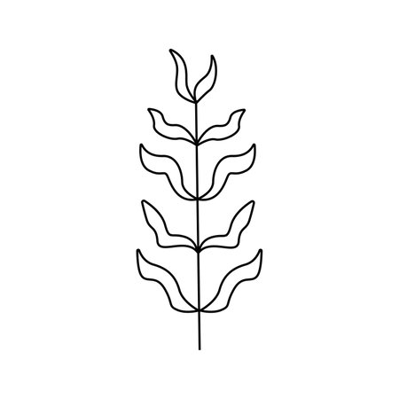 Hand drawn plant illustration.Isolated on white backgroundのイラスト素材