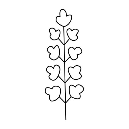 Hand drawn plant illustration.Isolated on white backgroundのイラスト素材