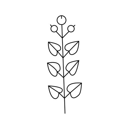 Hand drawn plant illustration.Isolated on white backgroundのイラスト素材