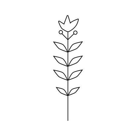 Hand drawn plant illustration.Isolated on white backgroundのイラスト素材