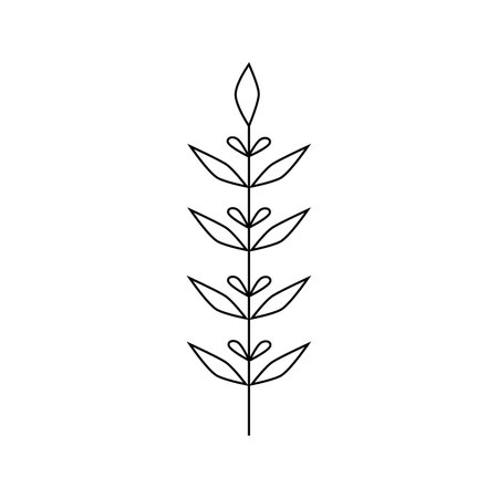 Hand drawn plant illustration.Isolated on white backgroundのイラスト素材