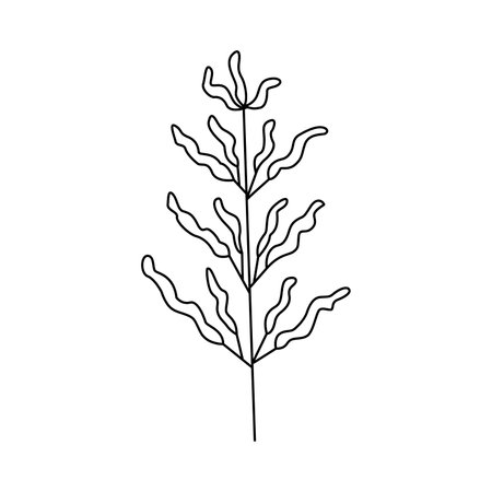 Hand drawn plant illustration.Isolated on white backgroundのイラスト素材