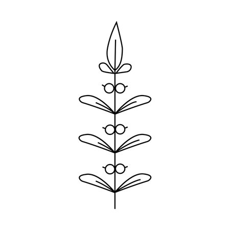 Hand drawn plant illustration.Isolated on white backgroundのイラスト素材