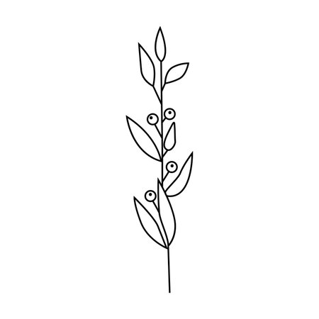 Hand drawn plant illustration.Isolated on white backgroundのイラスト素材