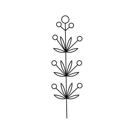 Hand drawn plant illustration.Isolated on white backgroundのイラスト素材