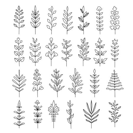 Hand drawn illustration plant set.Isolated on white backgroundのイラスト素材