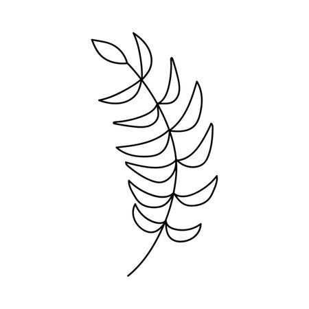 hand drawn branch with leaves. isolated on white backgroundのイラスト素材