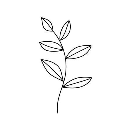 hand drawn branch with leaves. isolated on white backgroundのイラスト素材