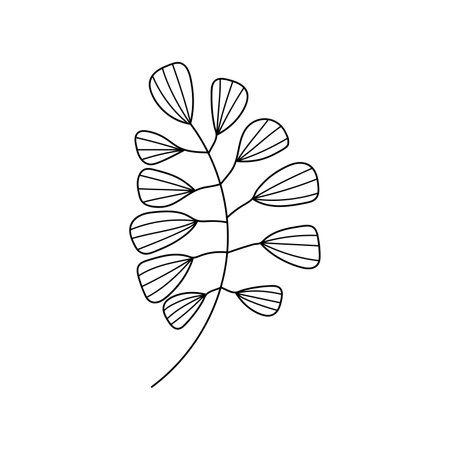 hand drawn branch with leaves. isolated on white backgroundのイラスト素材