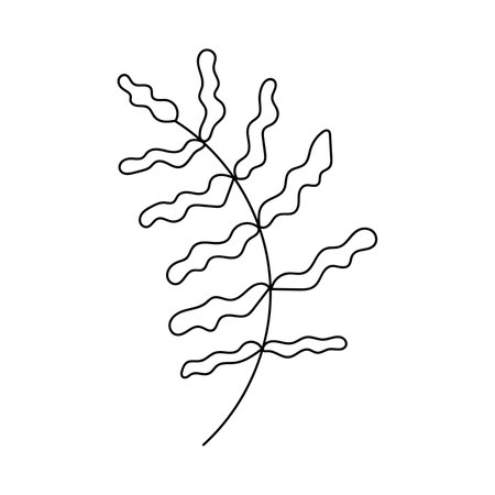 hand drawn branch with leaves. isolated on white backgroundのイラスト素材