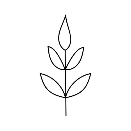 hand drawn branch with leaves. isolated on white backgroundのイラスト素材