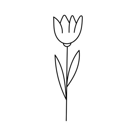 Hand drawn illustration of flowers in doodle style. isolated on white backgroundのイラスト素材
