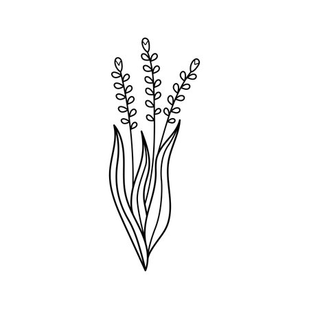 Hand drawn illustration of flowers in doodle style. isolated on white backgroundのイラスト素材