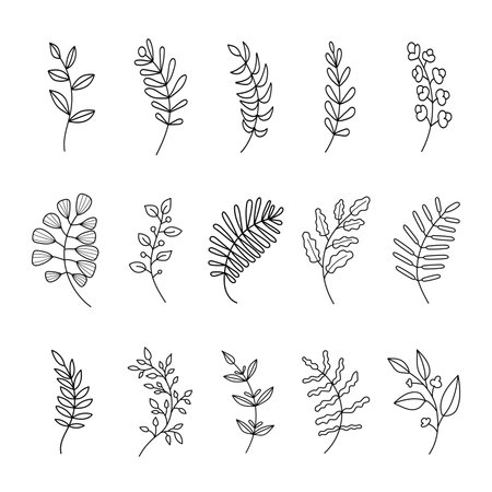 Hand drawn set of twig with leaves. isolated on white backgroundのイラスト素材