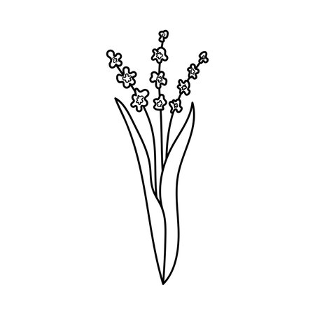 Hand drawn illustration of flowers in doodle style. isolated on white backgroundのイラスト素材