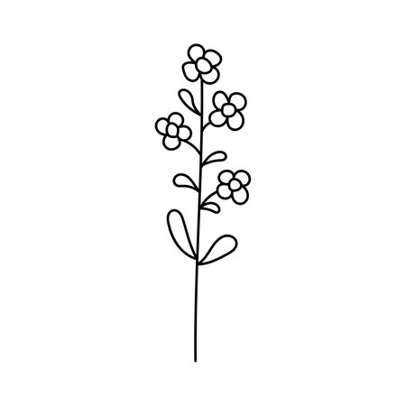 Hand drawn illustration of flowers in doodle style. isolated on white backgroundのイラスト素材