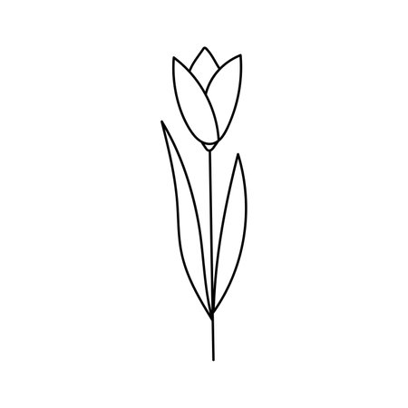 Hand drawn illustration of flowers in doodle style. isolated on white backgroundのイラスト素材