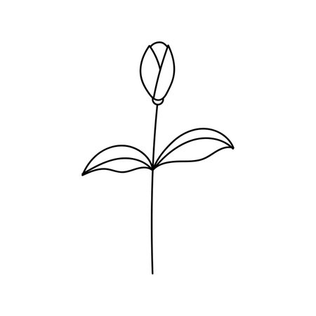 Hand drawn illustration of flowers in doodle style. isolated on white backgroundのイラスト素材