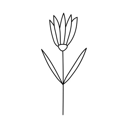 Hand drawn illustration of flowers in doodle style. isolated on white backgroundのイラスト素材