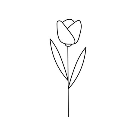 Hand drawn illustration of flowers in doodle style. isolated on white backgroundのイラスト素材
