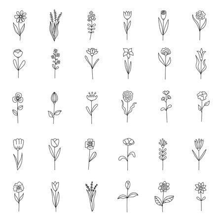 Hand drawn set illustration flowers in doodle style. isolated on white backgroundのイラスト素材