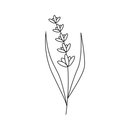 Hand drawn spring flower with leaves. isolated on white backgroundのイラスト素材